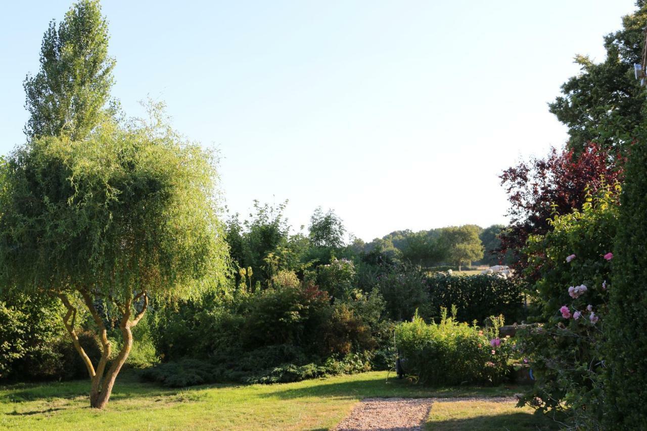 Le Bourgis Bed & Breakfast La Chapelle-Montligeon Екстериор снимка